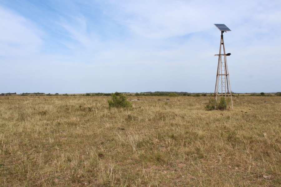 0 Bedroom Property for Sale in Bathurst Eastern Cape